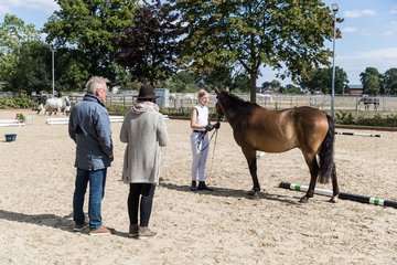 Bild 51 - Pony Akademie Turnier